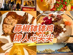 -嘉州叶婆婆钵钵鸡(建设路店)