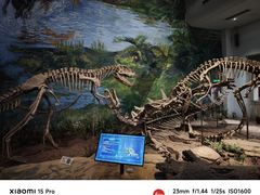 -自贡恐龙博物馆