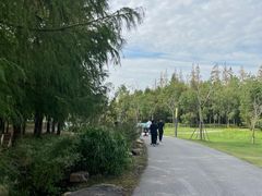 -上海长兴岛郊野公园