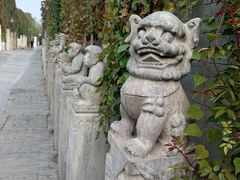 -宛平九号