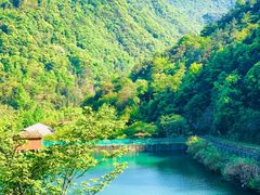 -宁海安岚·南溪阁全日餐厅