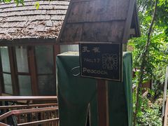 -三亚亚龙湾人间天堂鸟巢度假村