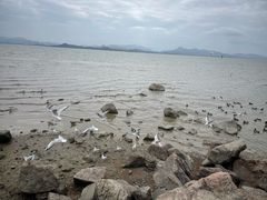 -深圳湾公园(南山区)