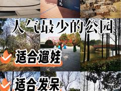 -南翔镇银翔湖公园