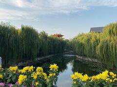 -台儿庄古城