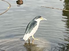 -长阳创谷
