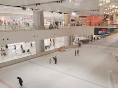 -TheRink大零溜冰场(IFS国金中心店)
