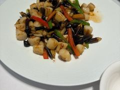 -天福苑(崇宁路店)