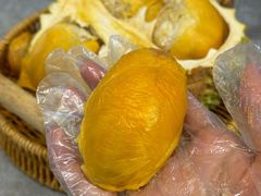 -都念榴莲·城市榴莲