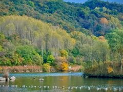 -玉渡山自然风景区
