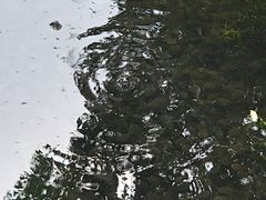 -静之湖湖畔餐厅