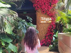 -Tegu泰古莲·泰国餐厅(红山6979店)