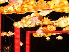 -欢乐海岸椰林沙滩-2025湾区超级灯会