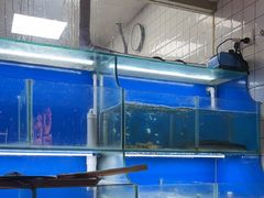 -阿鸡鱼庄·顺德鲜蒸小炒(亚运村店)
