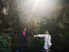 -杭州黄龙洞