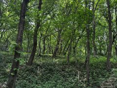 -句容茅山景区
