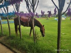 -武汉紫薇都市田园