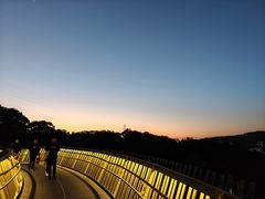 -福道