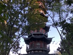 -上海佘山国家森林公园西佘山园