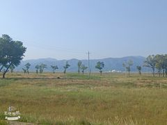 -敕勒川草原