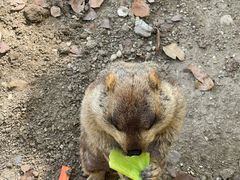 -常州淹城野生动物世界