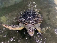 -嘉兴海底世界