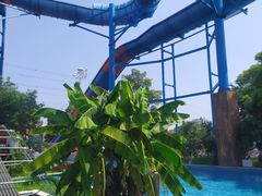 -苏州乐园森林水世界