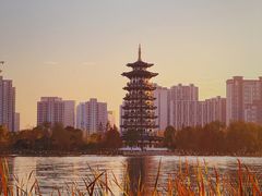 -洋湖国家湿地公园