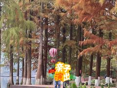 -重庆彩云湖湿地公园