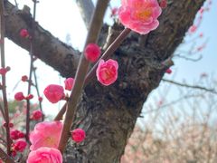 -白马涧龙池景区