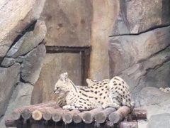 -波塞冬旅游度假区