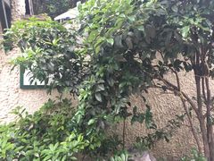 -上海蔡元培故居陈列馆