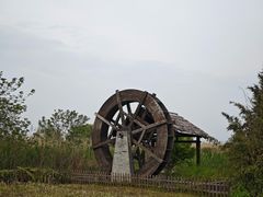 -同里国家湿地公园