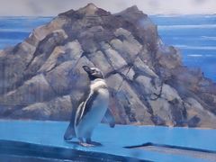 -青岛海底世界-水族馆