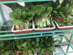 -舟山海鲜·江浙菜(银沙路店)