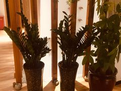 -麦子MaiMassage(打浦桥店)
