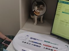 -御宝贝24h宠物医院·转诊中心·CT核磁血透中心(厦门总院)