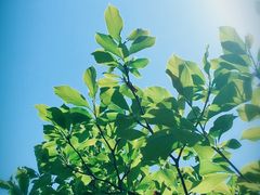 -花溪公园