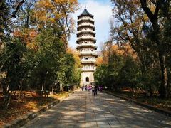 -灵谷景区