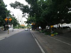 -闽江夜游台江旅游码头