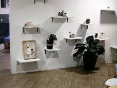 -有猫主题·治愈系猫咖(曾厝垵店)
