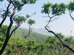 -阳台山自然风景区