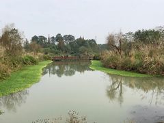 -桤木河湿地公园