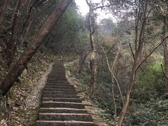 -龙井壹号·茶缘山景宴(龙井村店)