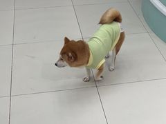 -怪兽屋·羊驼·猫咖·狗咖(俊华广场店)