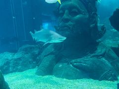 -暹罗海洋世界