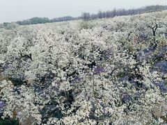 -江苏三台山国家森林公园