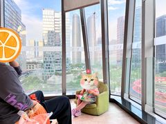 -合景·悠方(成都店)