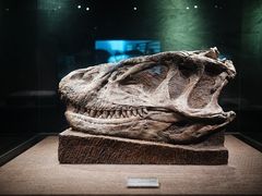 -自贡恐龙博物馆