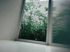 -大芬美术馆
